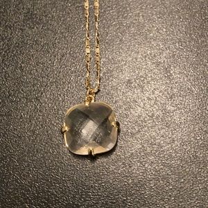NWOT Express Long Necklace